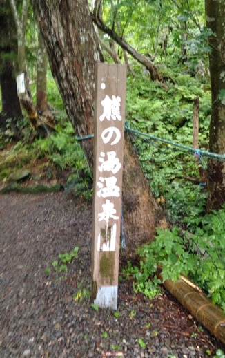 イメージ 7