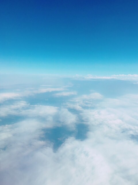 イメージ 8