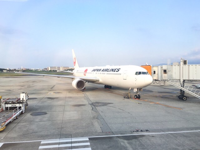 イメージ 10
