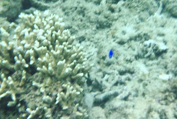 イメージ 16