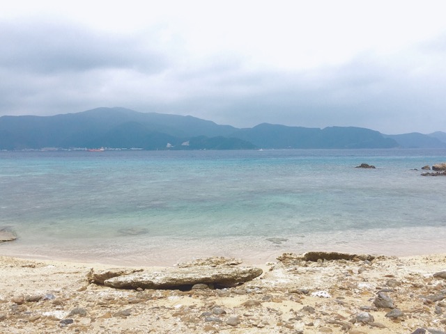 イメージ 10