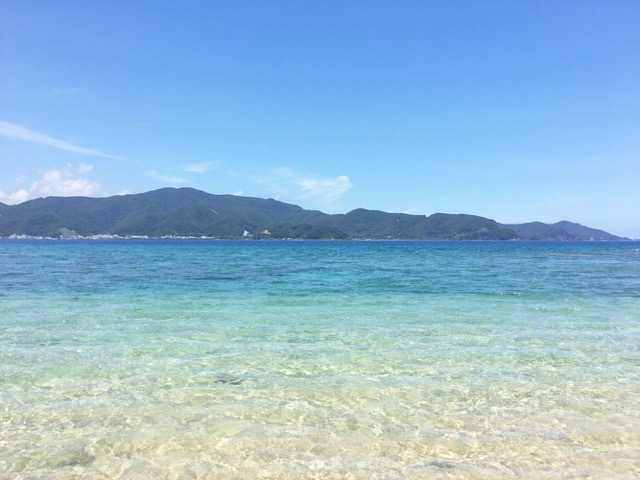 イメージ 12
