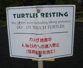 イメージ 10