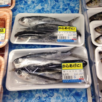 イメージ 15