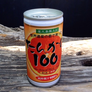 イメージ 16