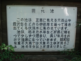 イメージ 6