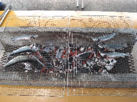 イメージ 17