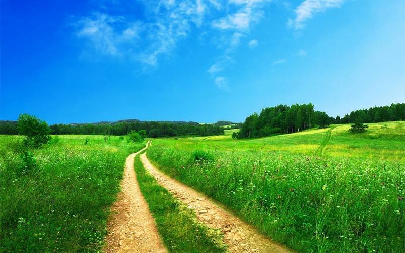 footpath