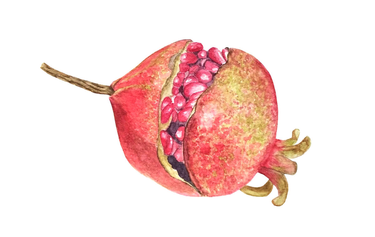 pomegranate-painting