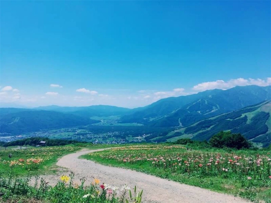 f:id:aya_fairithm:20180729011150j:image f:id:aya_fairithm:20180729011150j:image