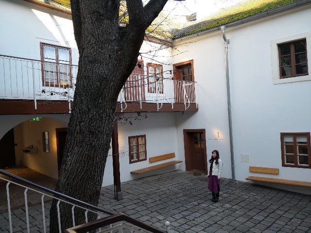 f:id:aya_kawazoe:20200627001655j:image f:id:aya_kawazoe:20200627001655j:image