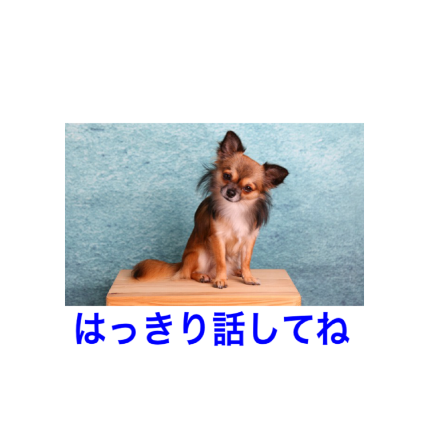 f:id:aya_nee:20190423094638p:image f:id:aya_nee:20190423094638p:image