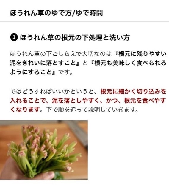 f:id:aya_nee:20190528064445j:image f:id:aya_nee:20190528064445j:image