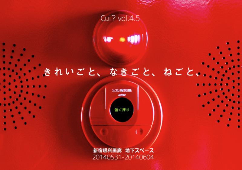 f:id:ayaayattottotto:20140325024439p:image:w540