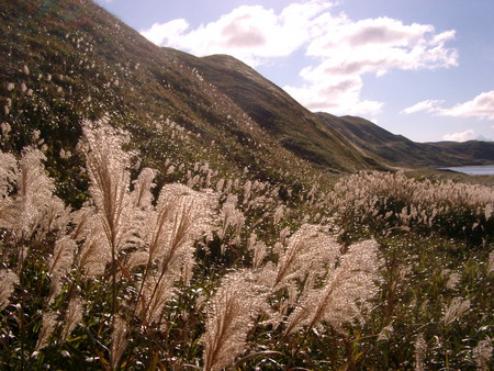 f:id:ayacat219:20050924205145j:image