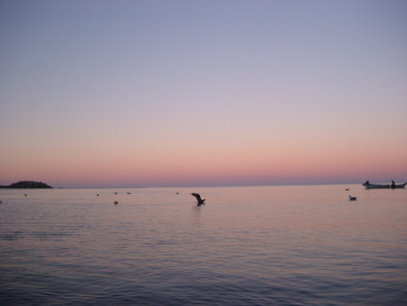 f:id:ayacat219:20050925181138j:image
