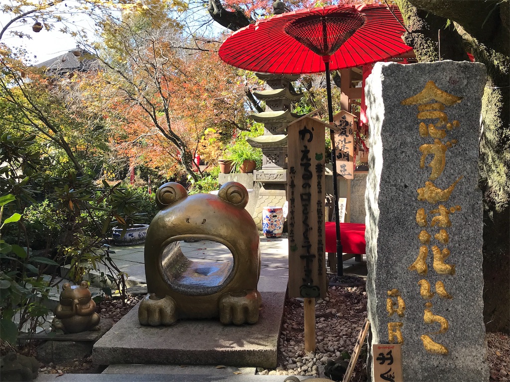 f:id:ayachan0910:20181115194131j:image f:id:ayachan0910:20181115194131j:image