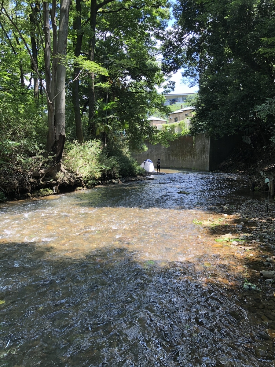 東京 東京近郊の川遊びおすすめスポット Part3 本当は教えたくない穴場 子どもとお出かけ体験型ガイド アソンデミエータ