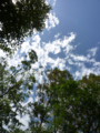[空]