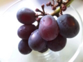 20130928125222