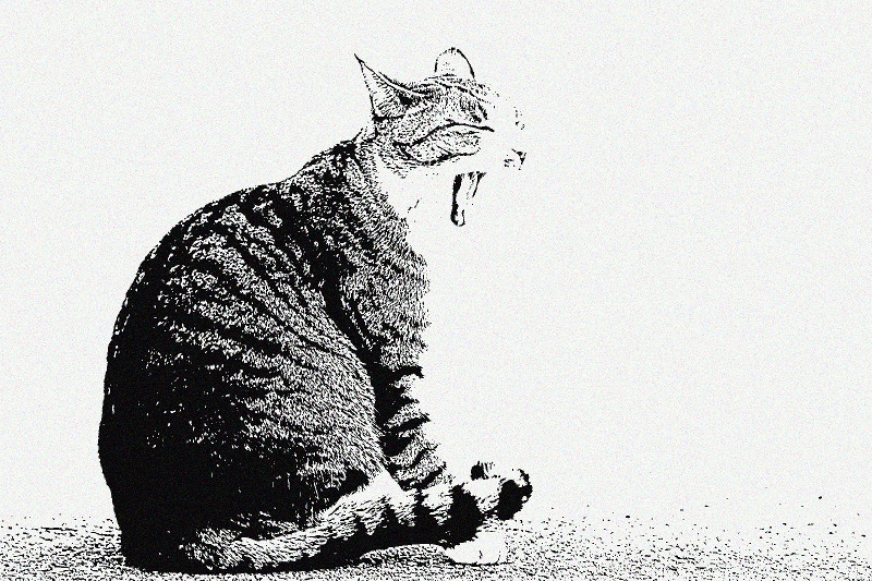 f:id:ayaeyego:20161107141909j:plain f:id:ayaeyego:20161107141909j:plain