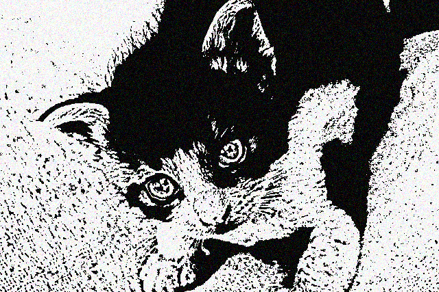 f:id:ayaeyego:20161107141910j:plain f:id:ayaeyego:20161107141910j:plain