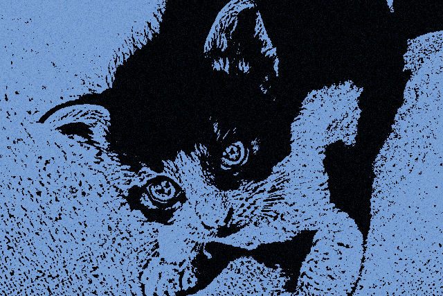 f:id:ayaeyego:20161108090045j:plain f:id:ayaeyego:20161108090045j:plain