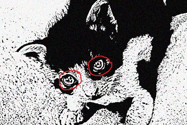 f:id:ayaeyego:20161108142418j:plain f:id:ayaeyego:20161108142418j:plain