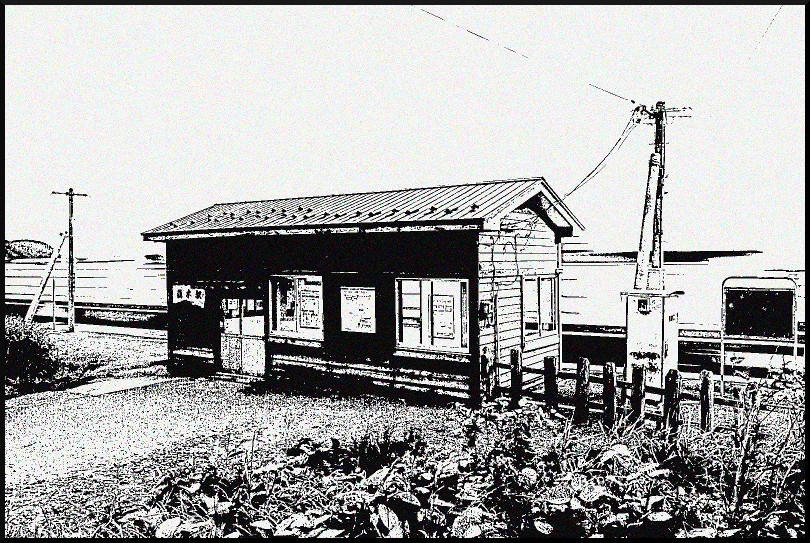 f:id:ayaeyego:20161108155049j:plain f:id:ayaeyego:20161108155049j:plain