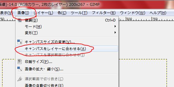 f:id:ayaeyego:20161108204833j:plain f:id:ayaeyego:20161108204833j:plain