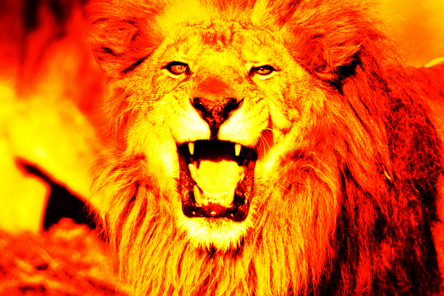 f:id:ayaeyego:20161115185431j:plain f:id:ayaeyego:20161115185431j:plain