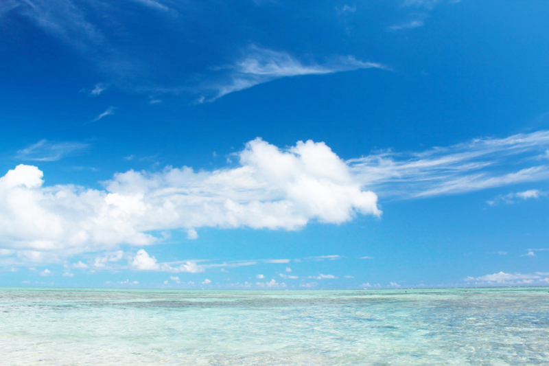 f:id:ayaeyego:20161115185438j:plain f:id:ayaeyego:20161115185438j:plain