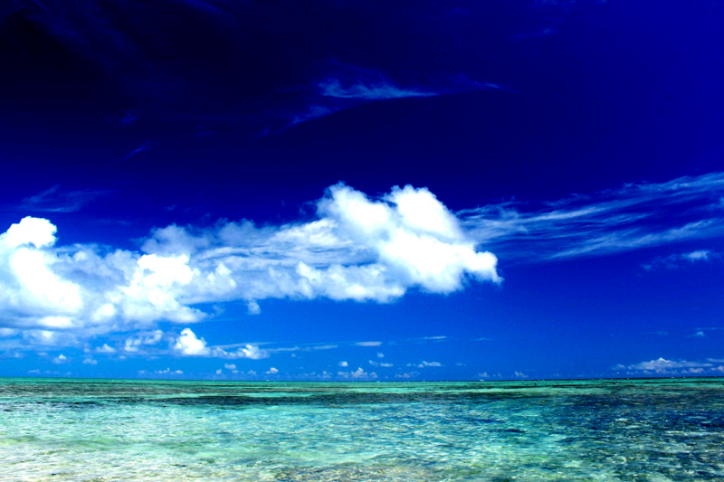 f:id:ayaeyego:20161115185439j:plain f:id:ayaeyego:20161115185439j:plain