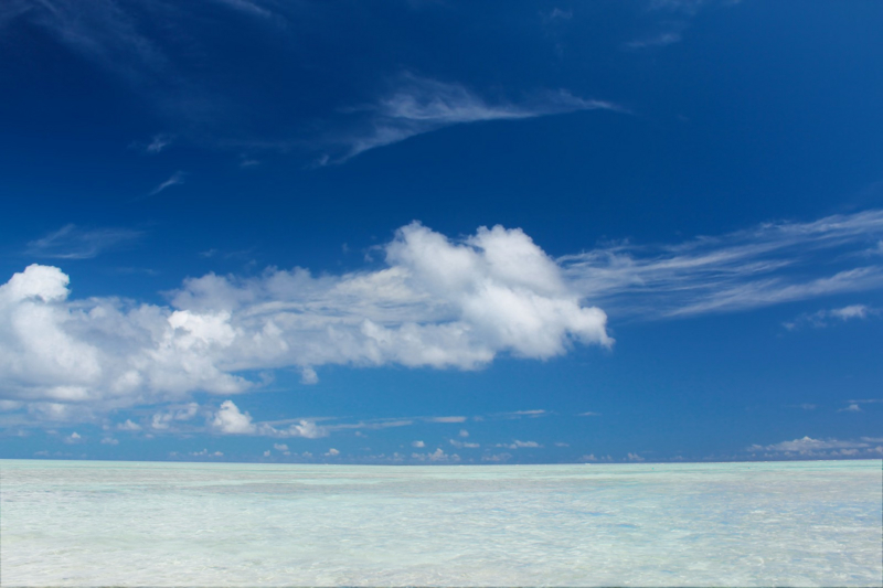 f:id:ayaeyego:20161115185440j:plain f:id:ayaeyego:20161115185440j:plain