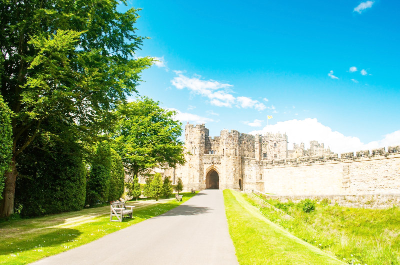 f:id:ayaeyego:20161115185446j:plain f:id:ayaeyego:20161115185446j:plain