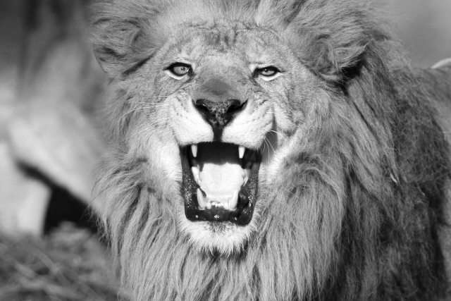 f:id:ayaeyego:20161118164815p:plain f:id:ayaeyego:20161118164815p:plain