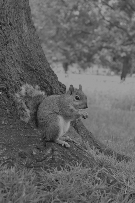 f:id:ayaeyego:20161118164817p:plain f:id:ayaeyego:20161118164817p:plain