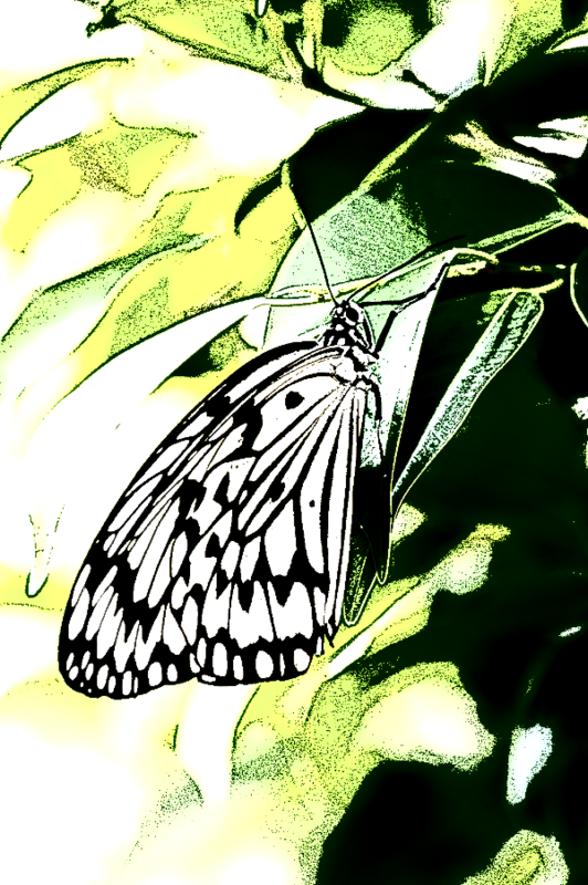 f:id:ayaeyego:20161118164830p:plain f:id:ayaeyego:20161118164830p:plain