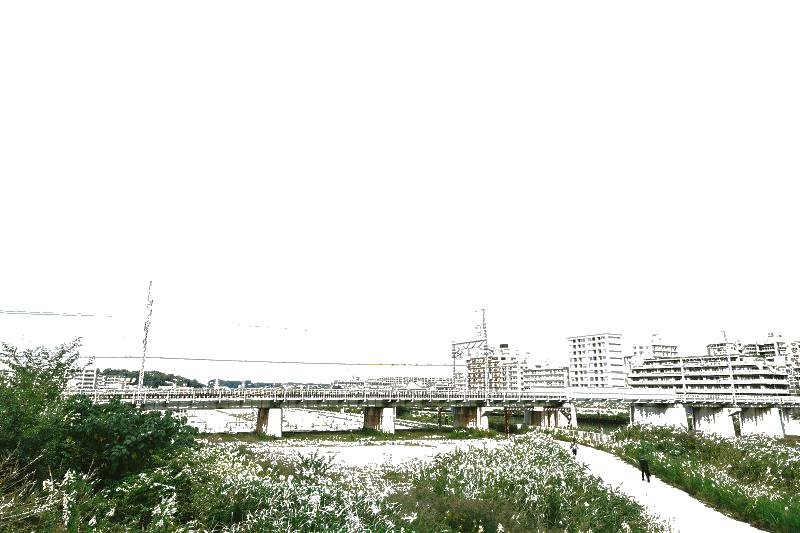 f:id:ayaeyego:20161118164833p:plain f:id:ayaeyego:20161118164833p:plain