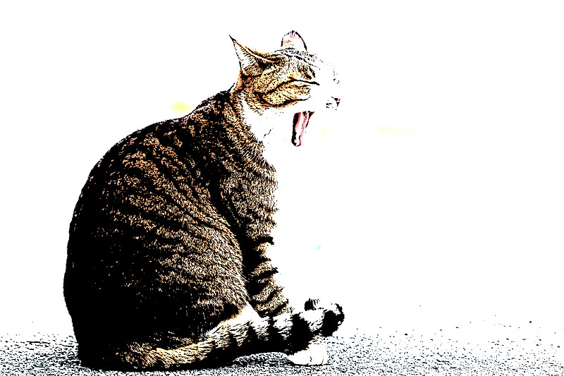 f:id:ayaeyego:20161119104448j:plain f:id:ayaeyego:20161119104448j:plain