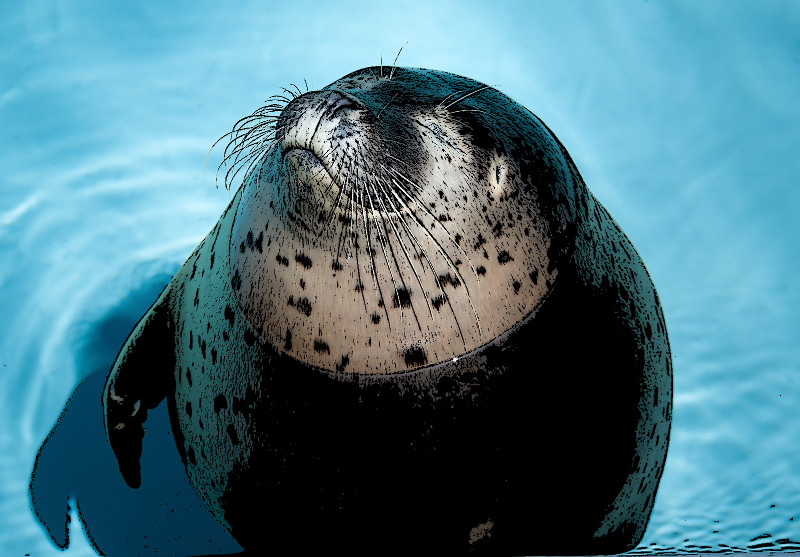 f:id:ayaeyego:20161120130025j:plain f:id:ayaeyego:20161120130025j:plain