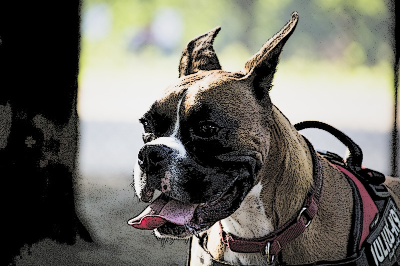 f:id:ayaeyego:20161120131051j:plain f:id:ayaeyego:20161120131051j:plain