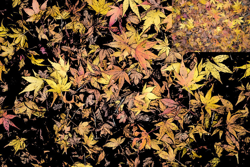 f:id:ayaeyego:20161120134507j:plain f:id:ayaeyego:20161120134507j:plain