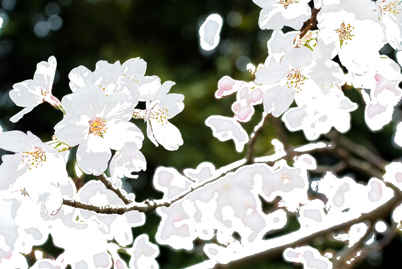 f:id:ayaeyego:20161121105853j:plain f:id:ayaeyego:20161121105853j:plain