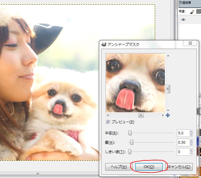 f:id:ayaeyego:20161220153751j:plain f:id:ayaeyego:20161220153751j:plain