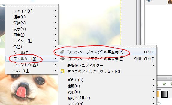 f:id:ayaeyego:20161220154349j:plain f:id:ayaeyego:20161220154349j:plain