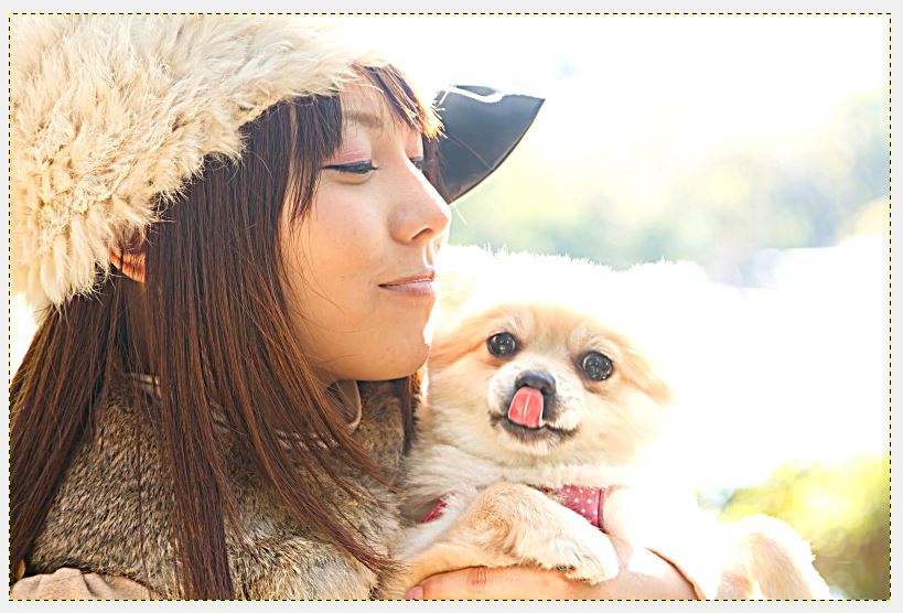 f:id:ayaeyego:20161220154609j:plain f:id:ayaeyego:20161220154609j:plain