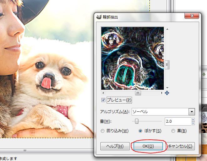 f:id:ayaeyego:20161220155339j:plain f:id:ayaeyego:20161220155339j:plain