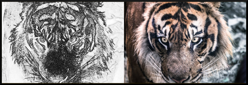 f:id:ayaeyego:20161220183233j:plain f:id:ayaeyego:20161220183233j:plain