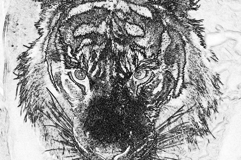 f:id:ayaeyego:20161220183326j:plain f:id:ayaeyego:20161220183326j:plain